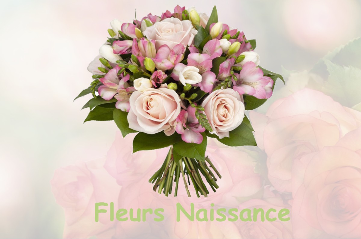 fleurs naissance LOISON