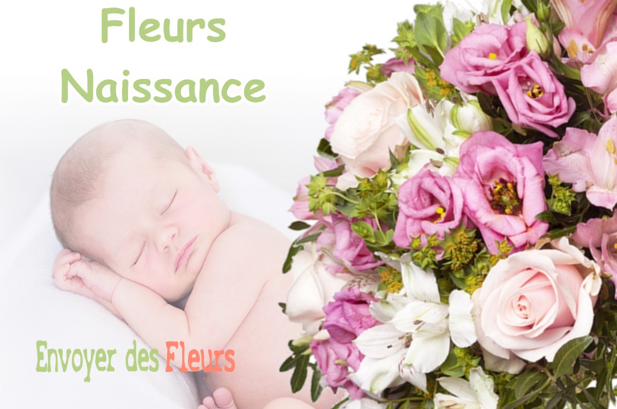 lIVRAISON FLEURS NAISSANCE à LOISON